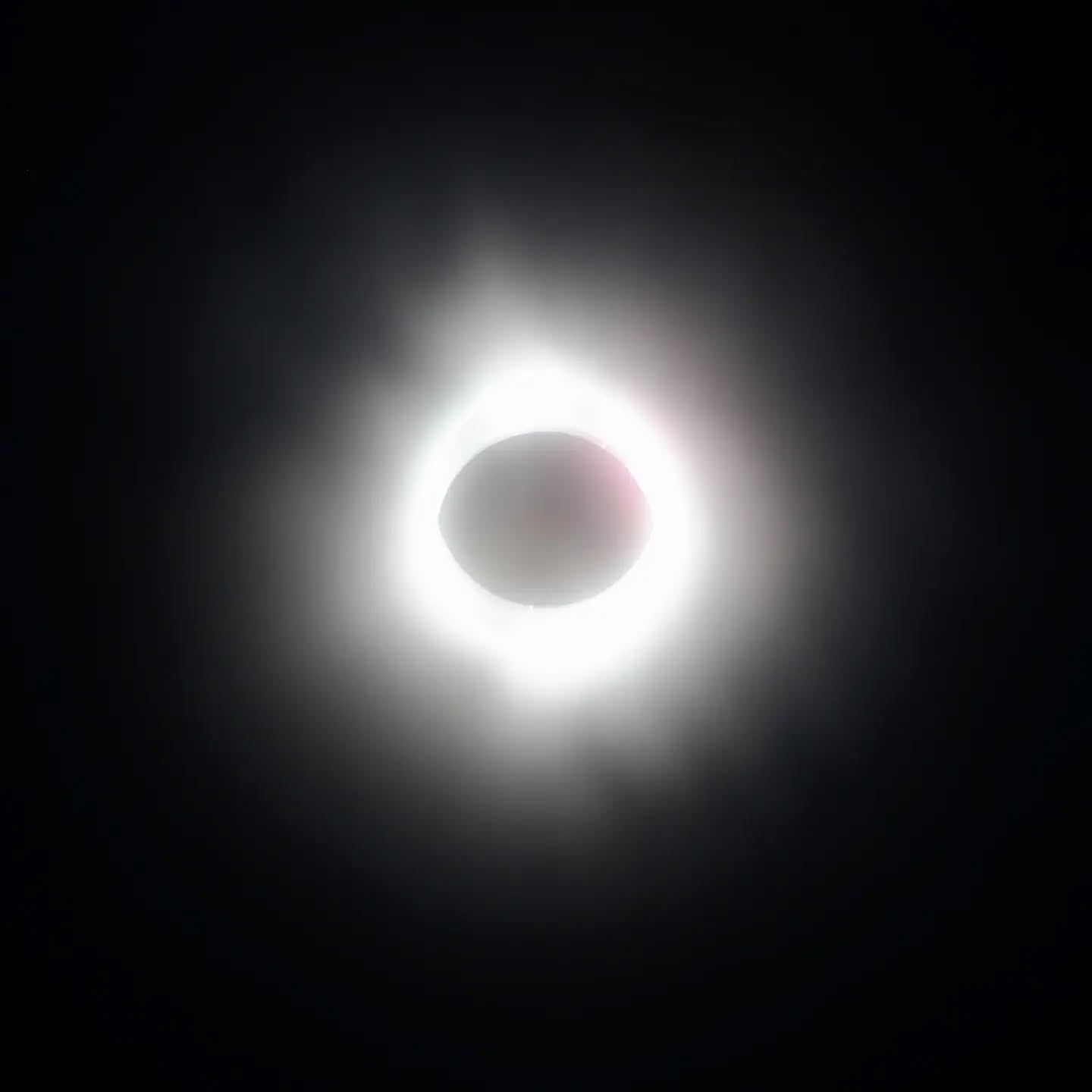 Renaissance Man Visions